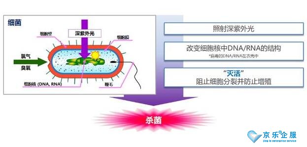海信中央空調紫光盾殺菌模塊上市，健康技能加持升級-1
